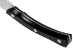 Due Cigni Arne Line Cuchillo Para Pelar 10 Cm, Negro -Bob Kramer Tienda DG2C901 04 due cigni arne