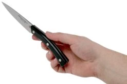 Due Cigni Arne Line Cuchillo Para Pelar 10 Cm, Negro -Bob Kramer Tienda DG2C901 06 due cigni arne