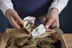 Opinel Cuchillo De Ostras N°09 -Bob Kramer Tienda OP001616 07 opinel oestermes op001616 08