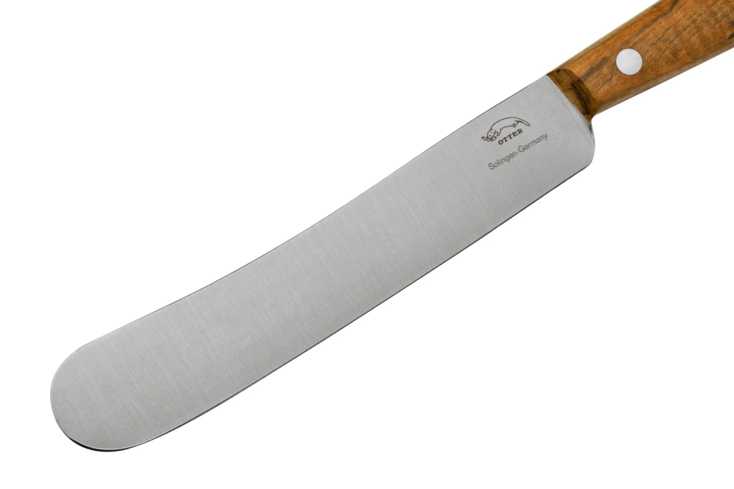 Otter Tafel Cuchillo De Mesa De Acero Inoxidable Pistacho 12,5 Cm 5 Otter Tafel Cuchillo De Mesa De Acero Inoxidable Pistacho 12,5 Cm - Imagen 3