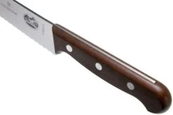 Victorinox Wood 5.2930.22G Cuchillo Para Pan/pastelería 22 Cm, Madera De Arce 11 Victorinox Wood 5.2930.22G Cuchillo Para Pan/pastelería 22 Cm, Madera De Arce -Bob Kramer Tienda VT5 2930 22G 05 victorinox